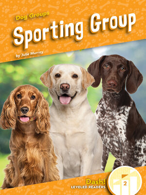 cover image of Sporting Group